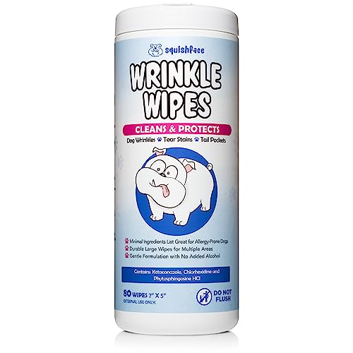 Our Favorite Dog Wipes: The Ultimate Solution for Healthy, Clean Skin