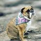 Reversible Doggie Bandana