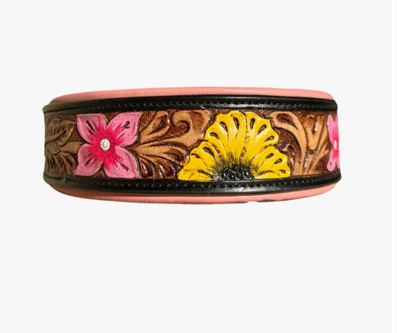 Maui Dog Collar